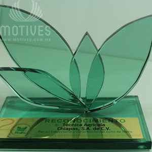 Tofeos de cristal, en Zacatecas, reconocimientos de cristal, en Durango, trofeos de vidrio, en Tepic, reconocimientos de vidrio, en Puerto Vallarta, esculturas de vidrio, en Guadalajara, esculturas de cristal, en Colima, galardones, en Manzanillo, premios para eventos, en Morelia, para empresas, en Torreon, para oficinas, en Chihuahua, de oficina, en Guasave, para empleados, en Michoacan, para compañeros de trabajo, en Hermosillo, para colegas, en La Paz, para escuelas, en Tijuana, para profesionestas, en Monterrey, regalos profesionales, en SLP, regalos conmemorativos, en San Luis Potosi, HAIFA FERTILIZANTES, en Reynosa, en Mexico, en Tampico, para motivar, en Merida, en Puebla, motivacion, en Cuernavaca, incentivos, en Veracruz, cristal 3d, grabados, en Cancun, con nombre, en Acapulco, personalizados, sobre diseño, especiales, especializados, con logotipo grabado, con nombre grabado, urgentes, precio, crystal 3d, grabado laser, cubos de cristal, precios,